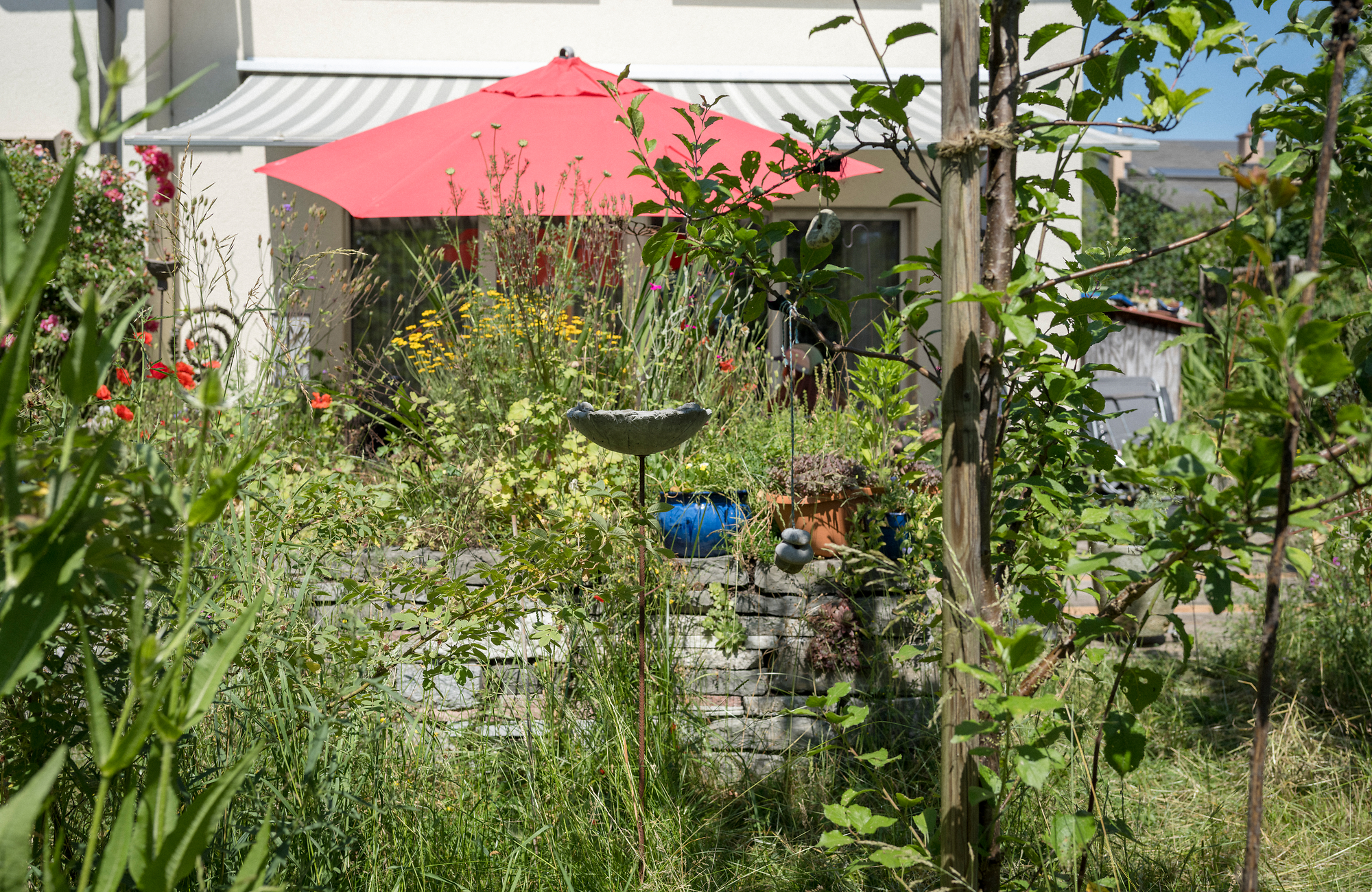 Menschen im Naturgarten am spielen, arbeiten, verweilen, geniessen, essen. Entstanden während der Fotosession «Menschen, jung und alt im Naturgarten» mit Einverständnis der Besitzer:innen der Gärten. Des gens jouent, travaillent, se détendent, profitent et mangent dans un jardin naturel. Réalisé lors de la séance photo «Des gens, jeunes et vieux, dans un jardin naturel» avec l'accord des propriétaires des jardins.