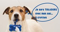 crotte.jpeg